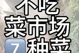 开云电竞app靠谱吗